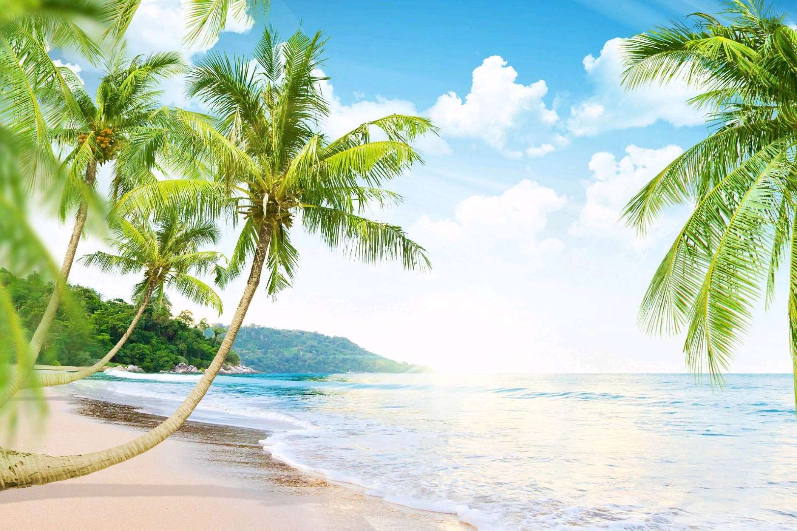 Les Beaux Arbres des Palmiers avec des Belles Noix de Coco près de la Belle Plage aux soleil et des Nuages !